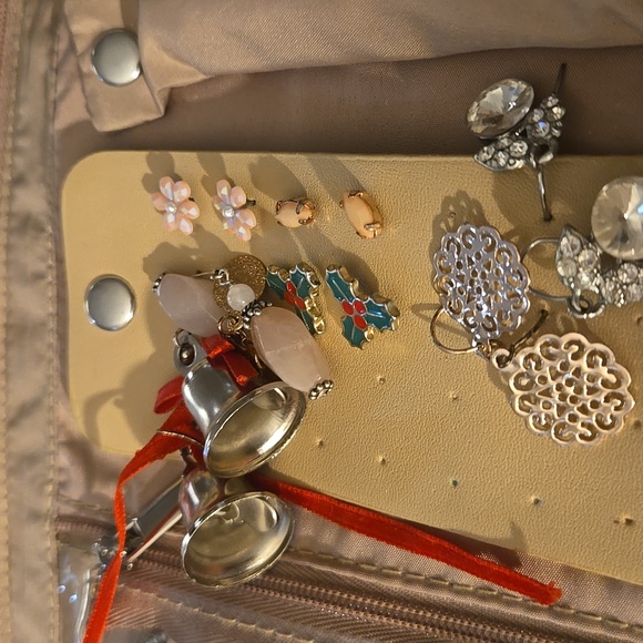 Elegant Jewelry Organizer with Assorted Earrings - Picture 4 of 14